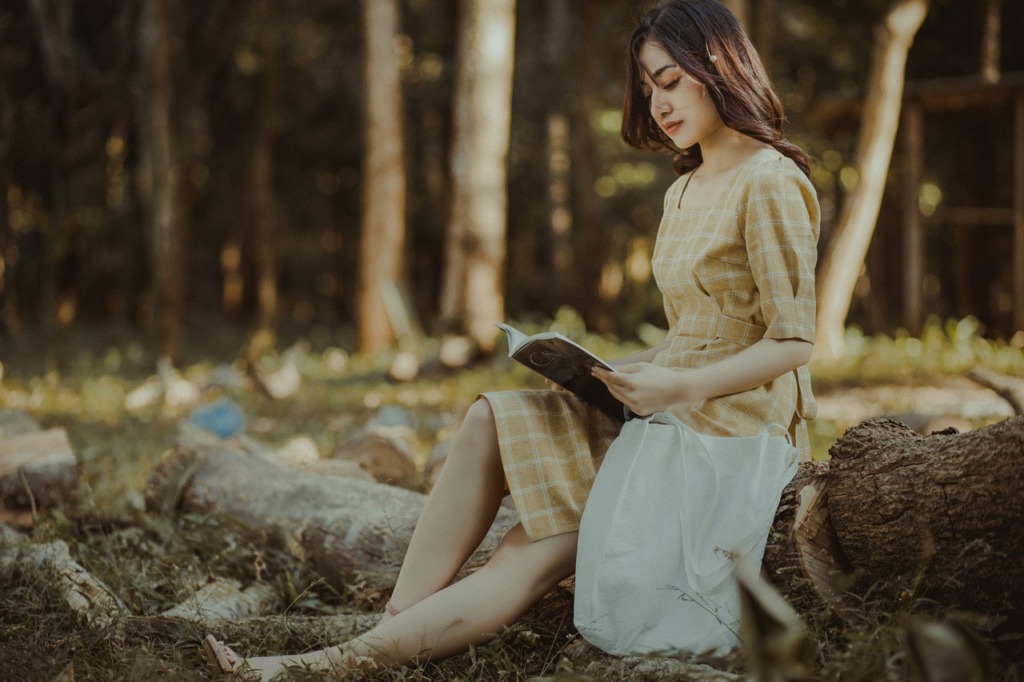Woman Reading Education Literature  - Jupilu / Pixabay