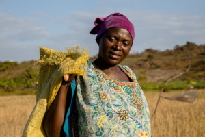 Woman Rice Field Farmer Africa  - Inno_Joseph / Pixabay