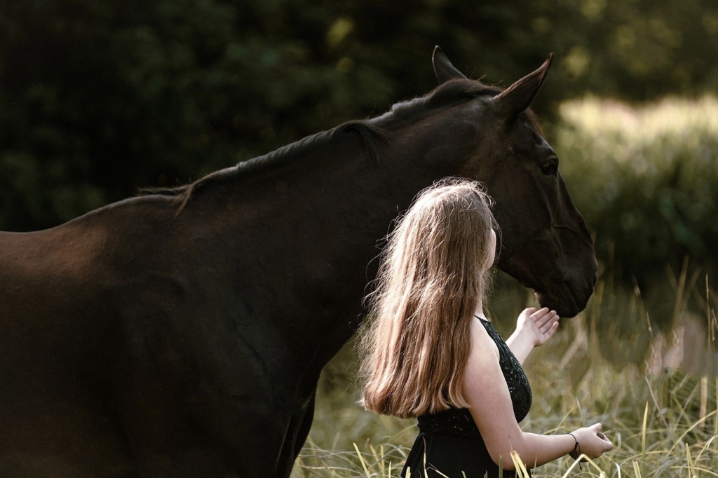 Woman Rider Horse Girl Female  - Mammiya / Pixabay