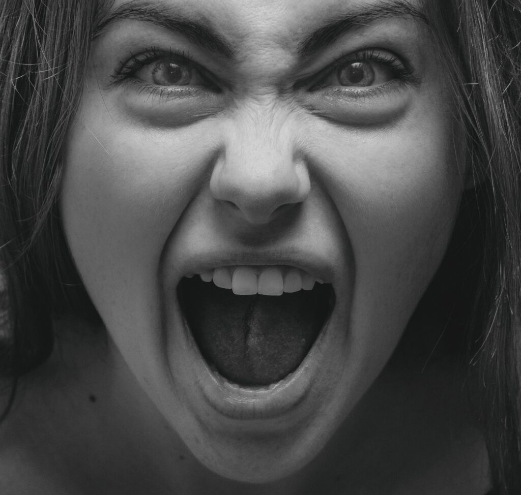 Woman Scream Monochrome Shout Mad  - krivitskiy / Pixabay