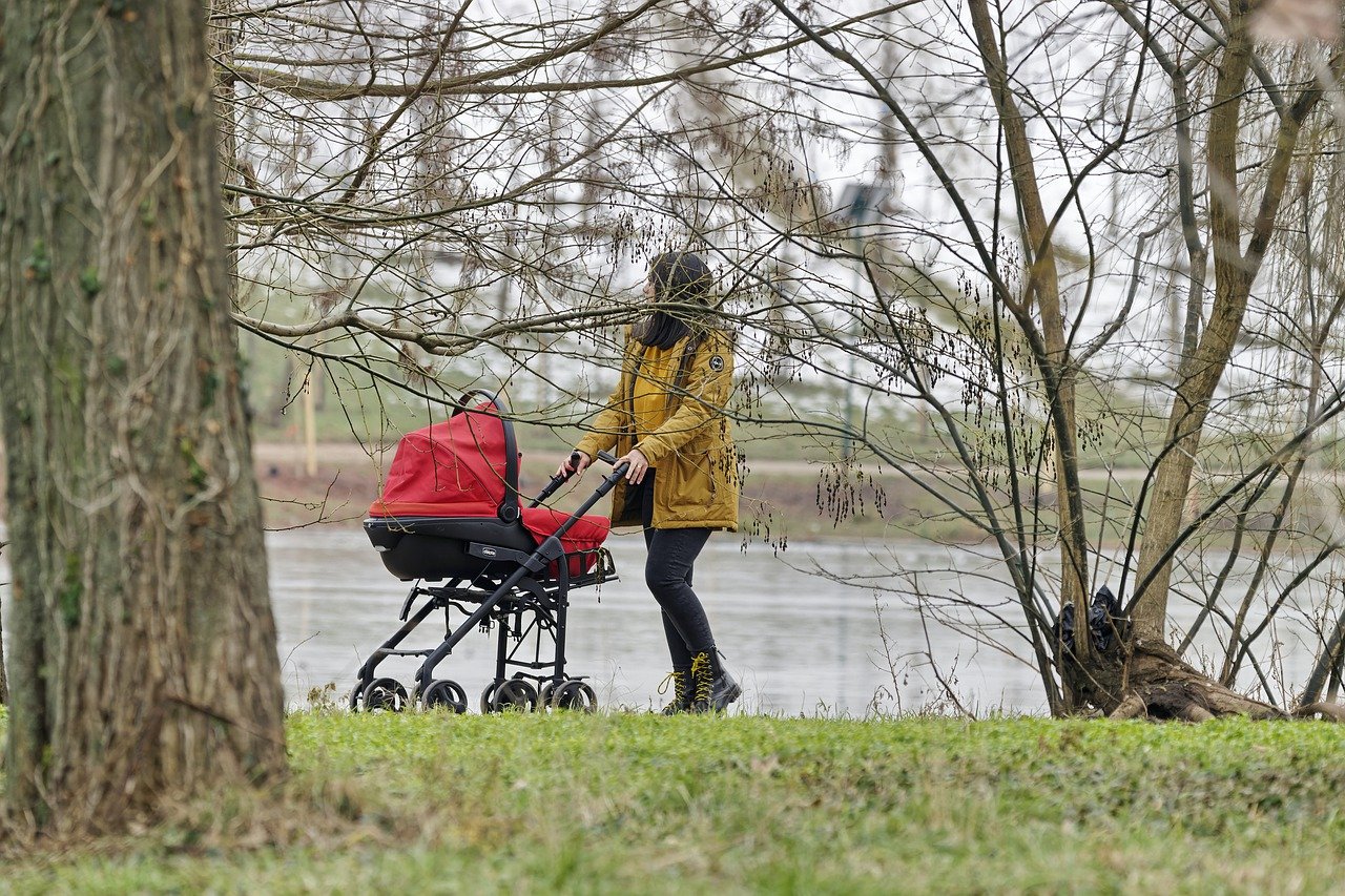 Woman Stroller Baby Mother Young - Candid_Shots / Pixabay
