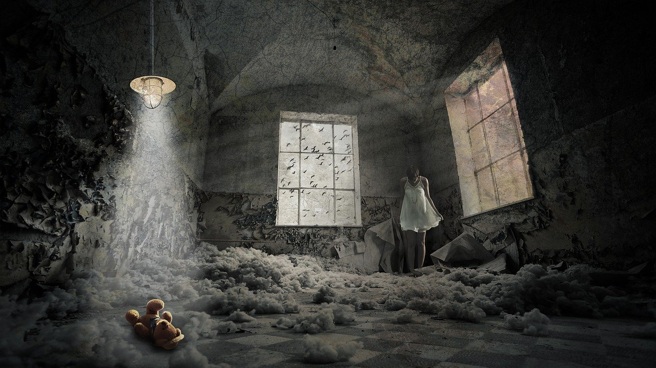 Woman Teddy Bear Hospital Building  - -MayaQ- / Pixabay