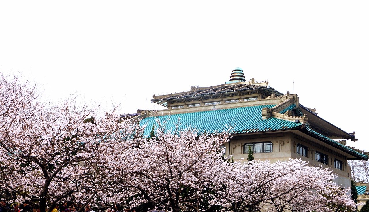 Wuhan Wuhan University  - likang999 / Pixabay