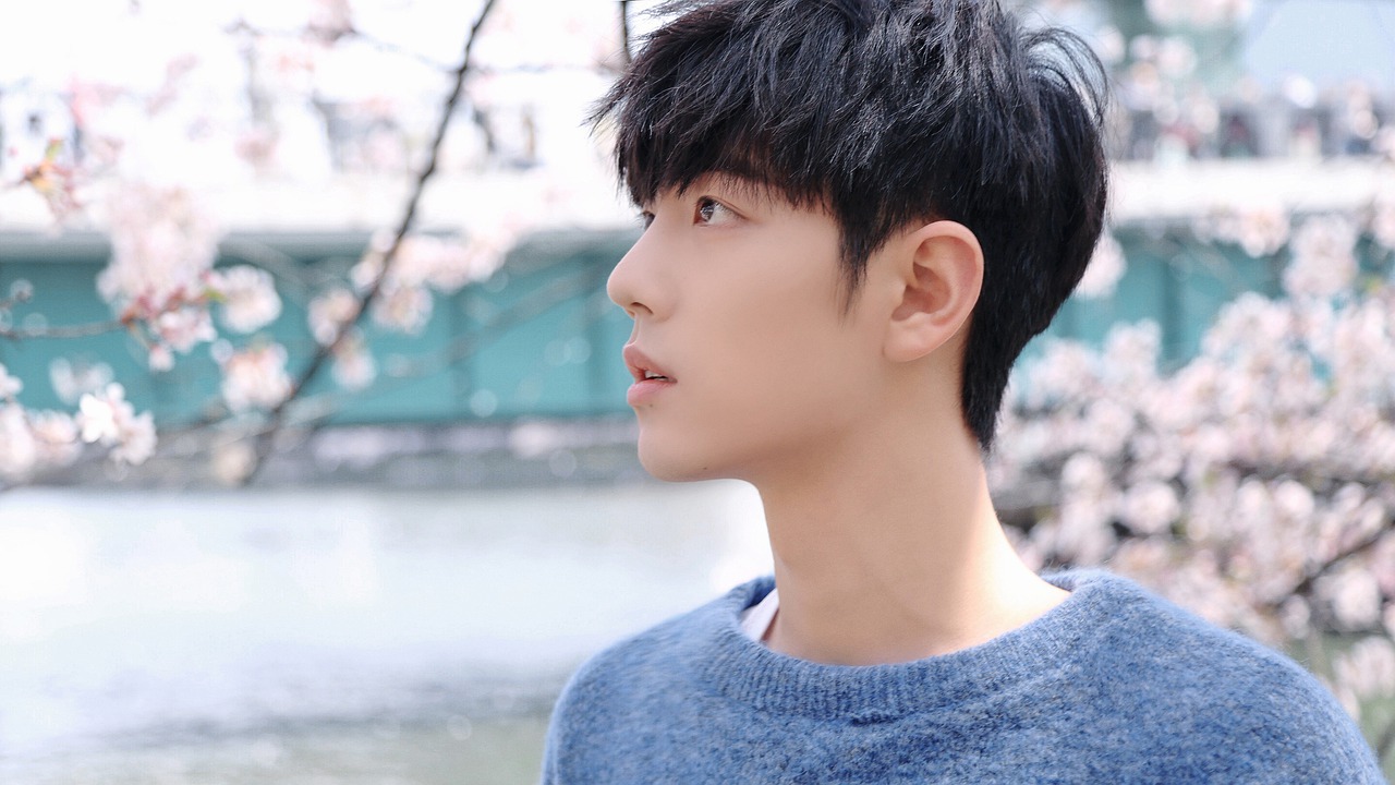 Xiao Zhan Actor Man Portrait Face - we-o_rd35ozcnzmcuxurck / Pixabay