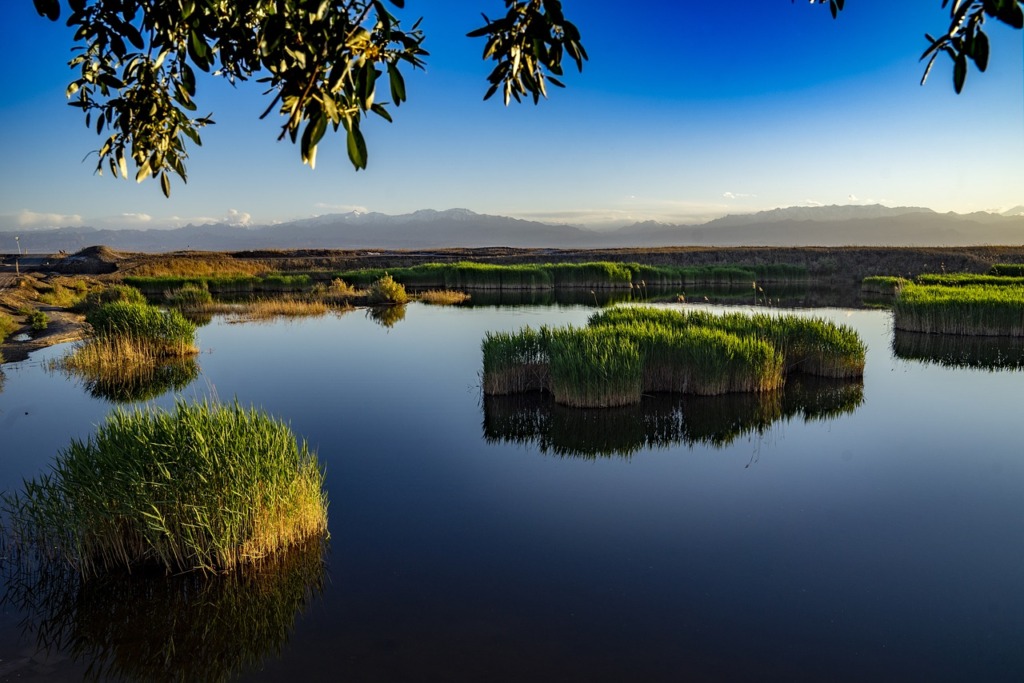 Xinjiang Scenery Lake Landscape  - One-Men / Pixabay