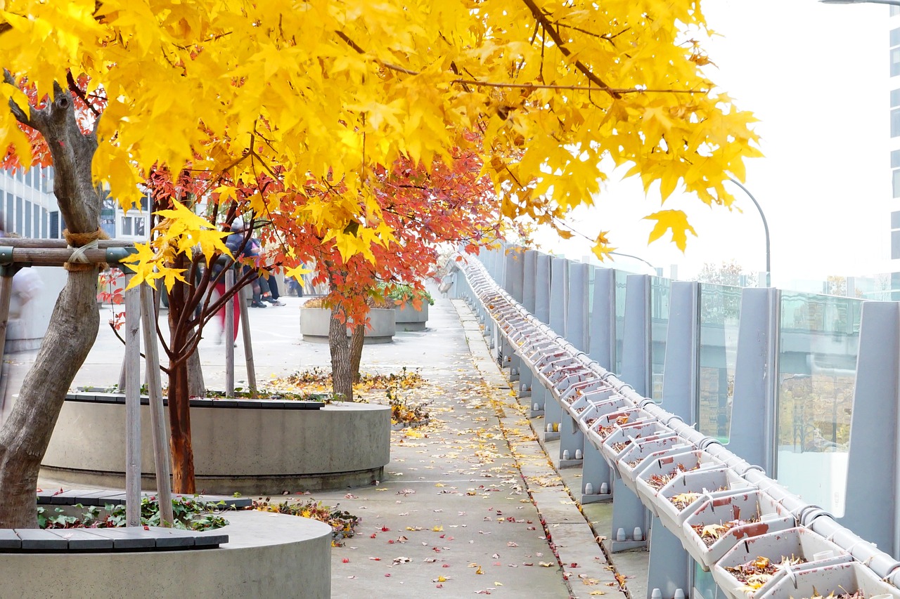 Yellow Plant Seoul - mitto / Pixabay