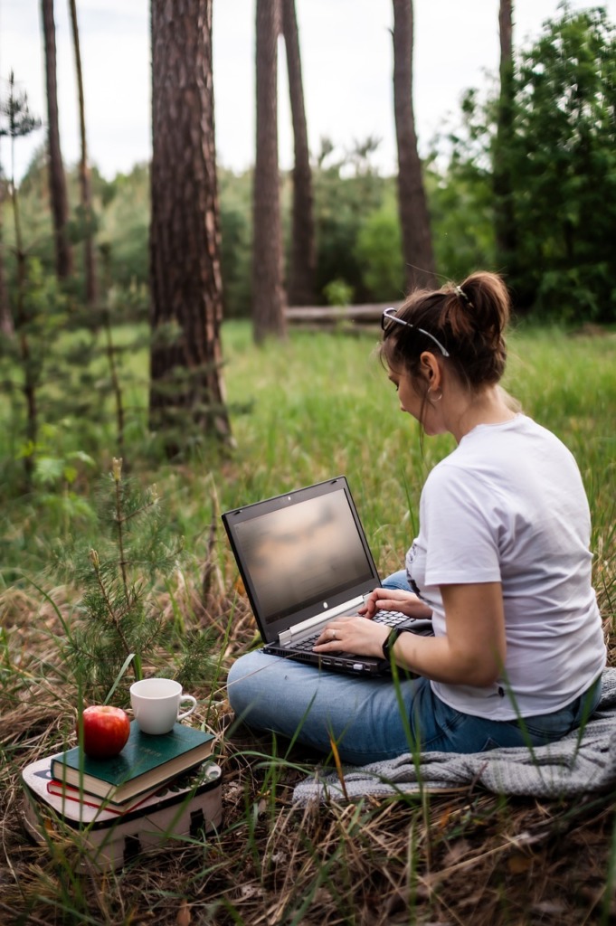 Young Woman Laptop Work Freelancer  - RuslanSikunov / Pixabay