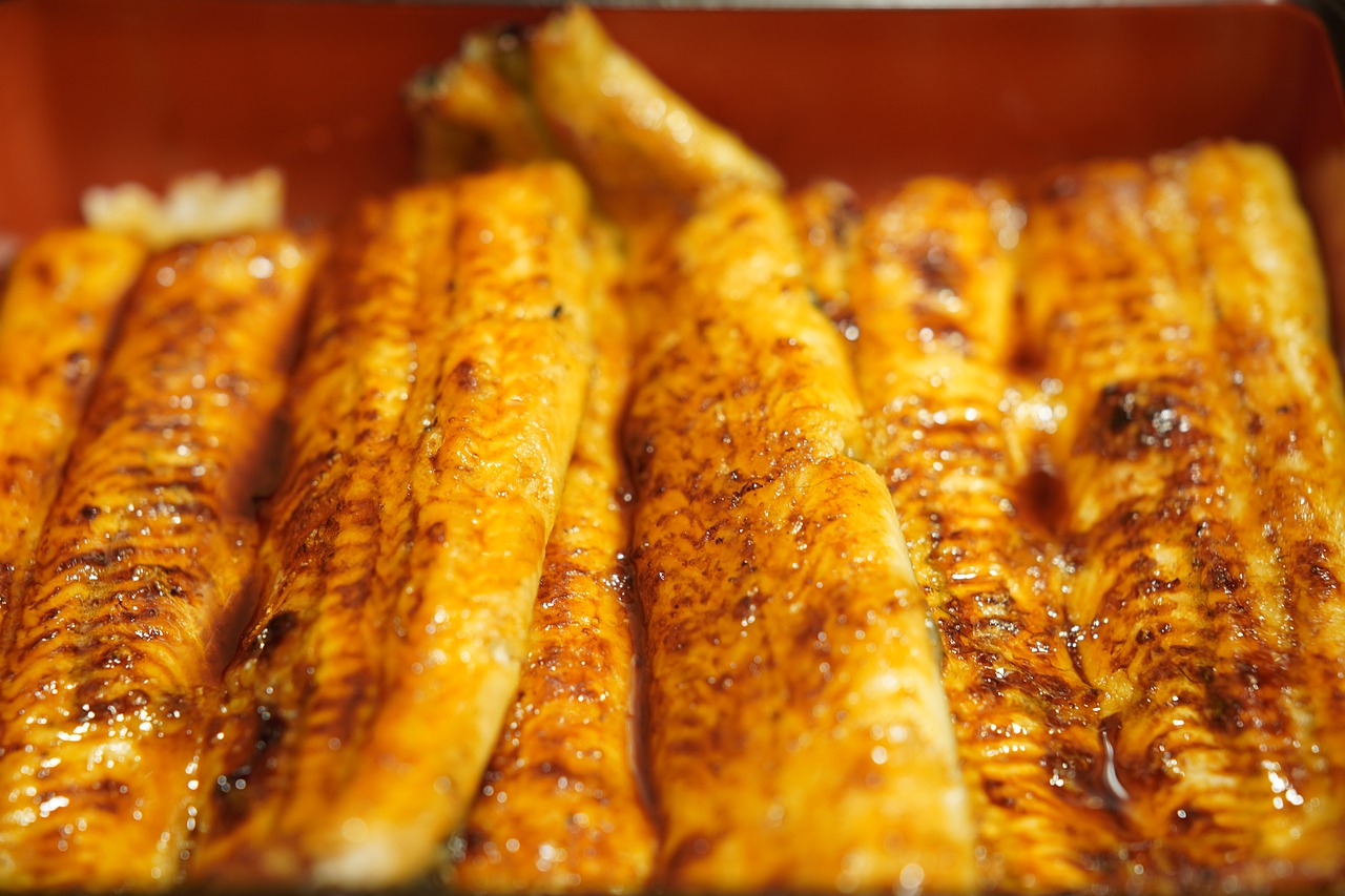 Your Bowl Eel Japanese Food Gourmet - takedahrs / Pixabay